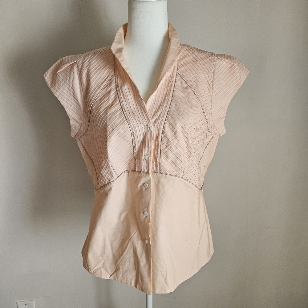 J Peterman SZ 14 Pintucked Cap Sleeve Fitted Button Blouse Pink Regency Twee
